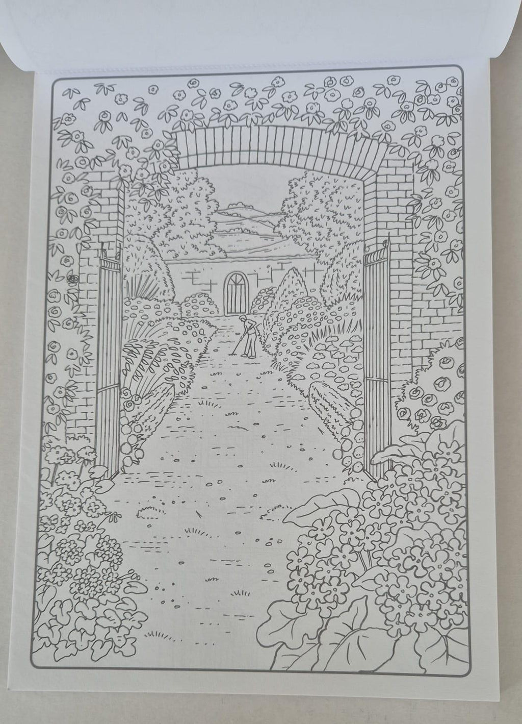 Doodle Art Colouring Book